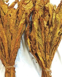 Dark air-cured tobacco leaf