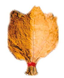 Light air-cured Burley tobacco leaf