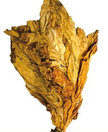 Flue-cured Virginia tobacco leaf